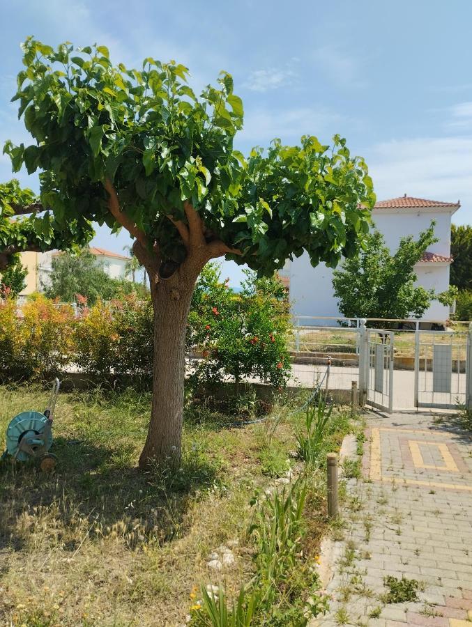 Calypso Two Bedroom Apartment Kandia Ngoại thất bức ảnh